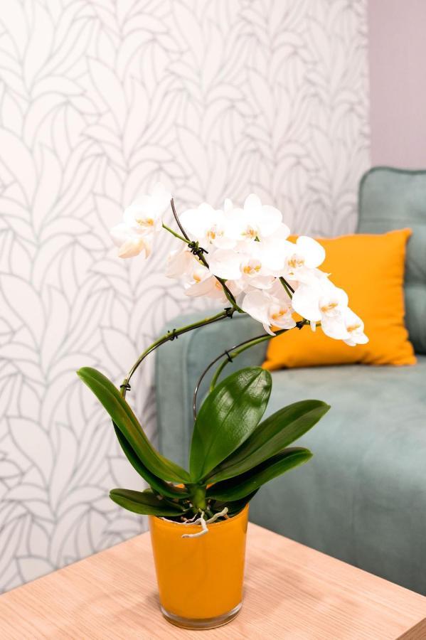 Apartament Epi - Edina Prava Izbira Izola Zewnętrze zdjęcie
